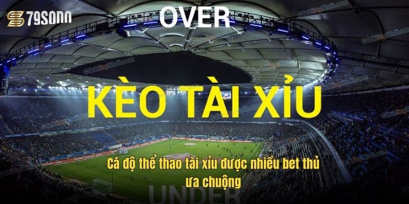 ca-do-the-thao-tai-xiu-duoc-nhieu-bet-thu-ua-chuong