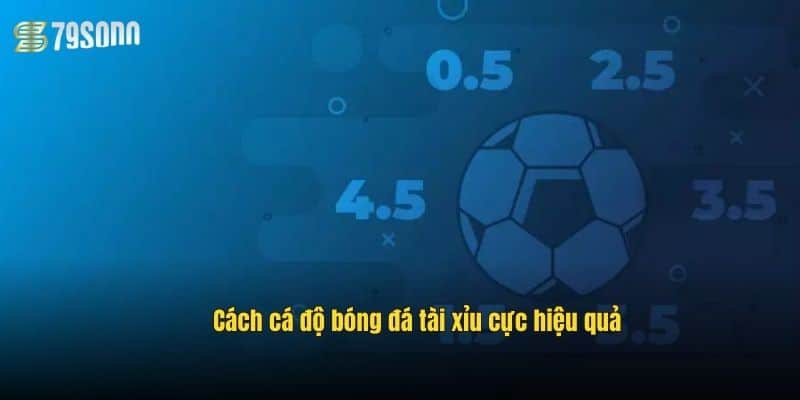 cach-ca-do-bong-da-tai-xiu-cuc-hieu-qua