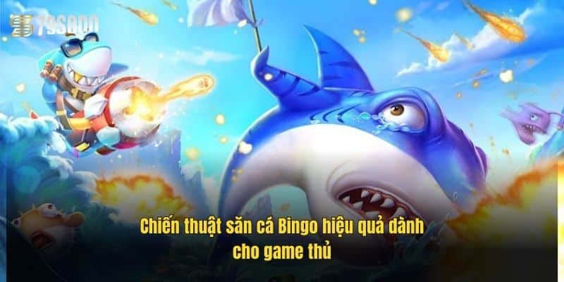 Bắn Cá Bingo 79Sodo – Săn Thưởng Lớn, Giải Trí Cực Đỉnh 3 chien-thuat-san-ca-bingo-hieu-qua-danh-cho-game-thu