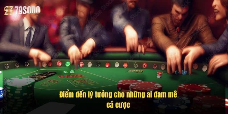 diem-den-ly-tuong-cho-nhung-ai-dam-me-ca-cuoc (2)