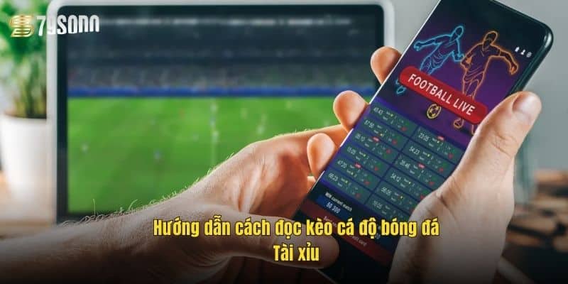 huong-dan-cach-doc-keo-ca-do-bong-da-tai-xiu