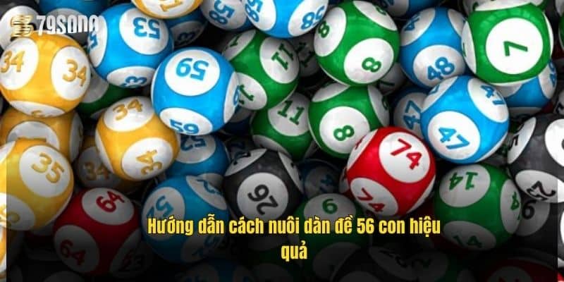 huong-dan-cach-nuoi-dan-de-56-con-hieu-qua