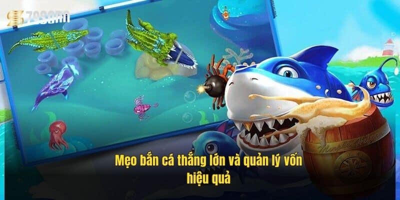 meo-ban-ca-thang-lon-va-quan-ly-von-hieu-qua