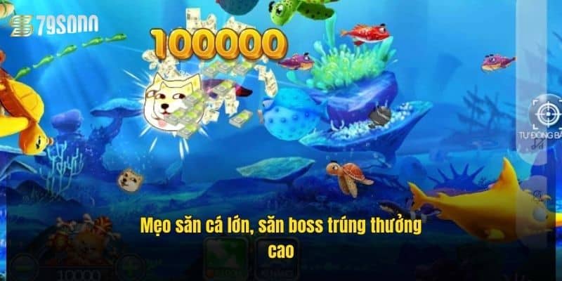 meo-san-ca-lon-san-boss-trung-thuong-cao (1)