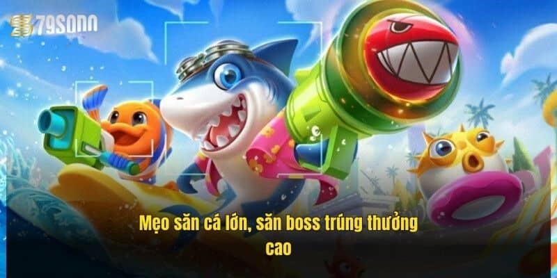 meo-san-ca-lon-san-boss-trung-thuong-cao