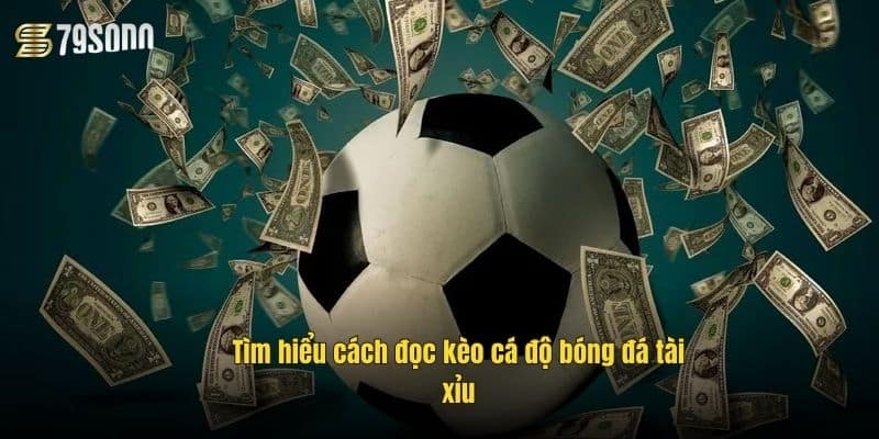 tim-hieu-cach-doc-keo-ca-do-bong-da-tai-xiu